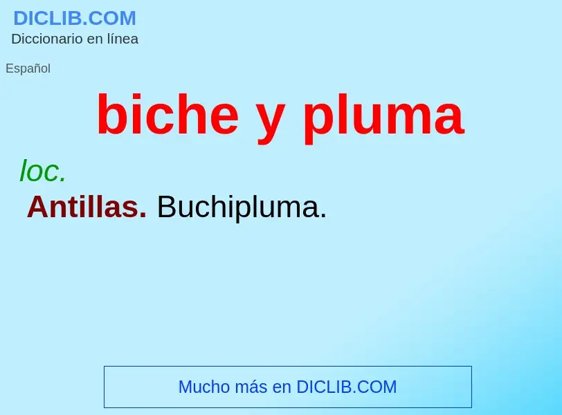 ¿Qué es biche y pluma? - significado y definición