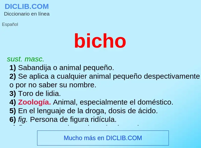 Wat is bicho - definition