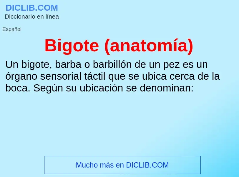 O que é Bigote (anatomía) - definição, significado, conceito