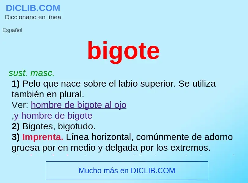 What is bigote - definition