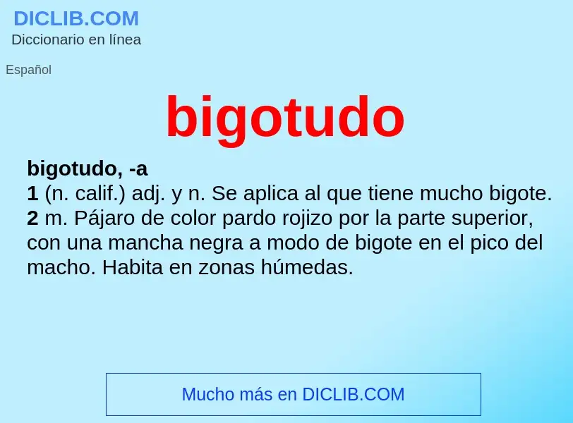 What is bigotudo - definition