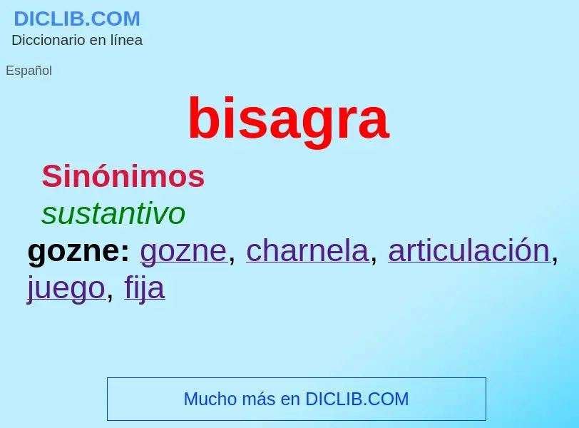 What is bisagra - definition