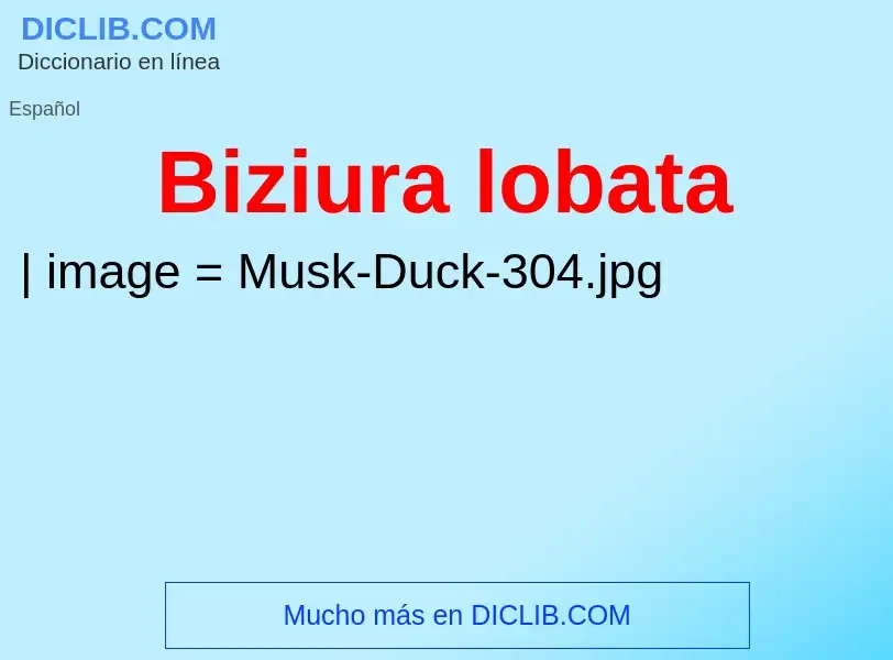 O que é Biziura lobata - definição, significado, conceito