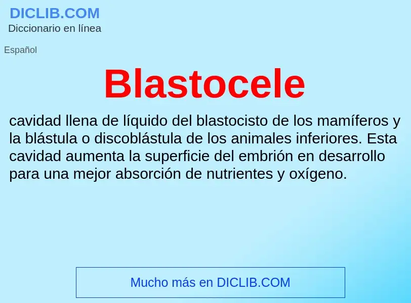 O que é Blastocele - definição, significado, conceito