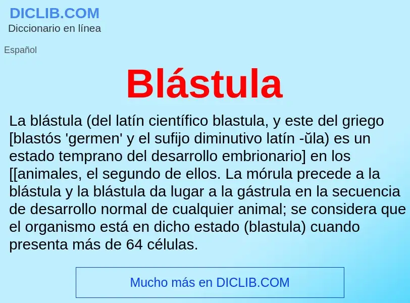 O que é Blástula - definição, significado, conceito