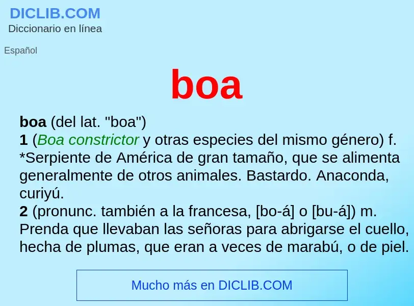 What is boa - meaning and definition