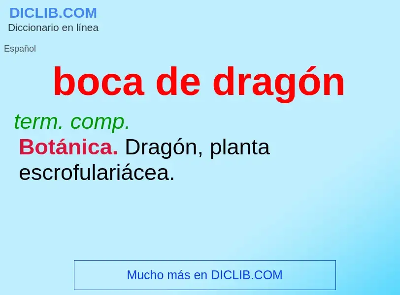 Was ist boca de dragón - Definition