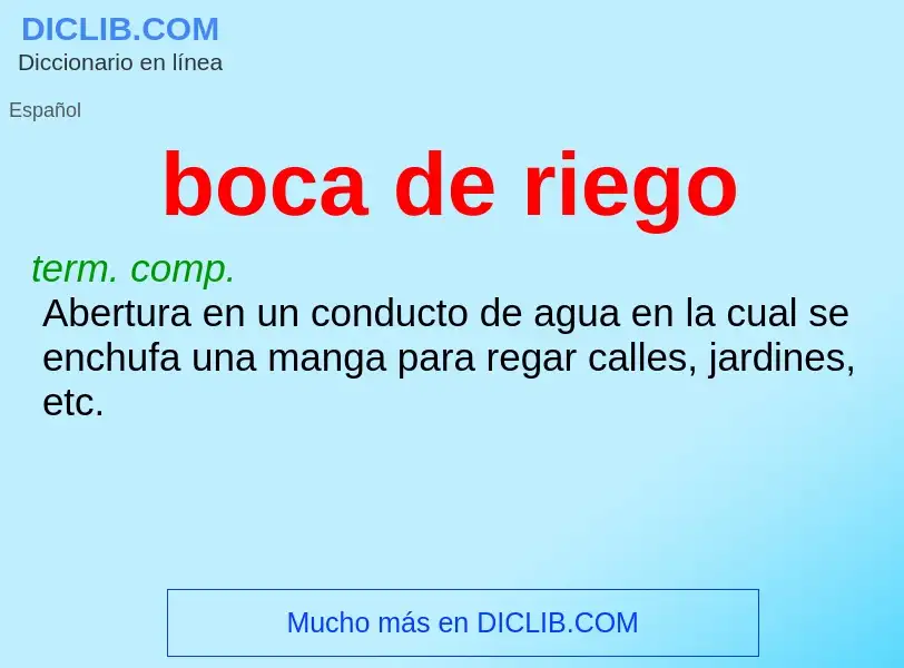 Che cos'è boca de riego - definizione