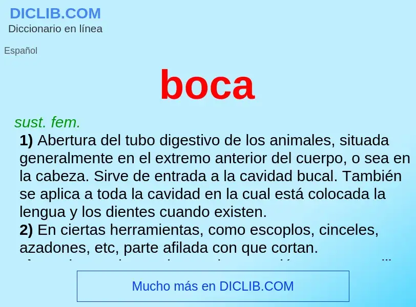 What is boca - meaning and definition