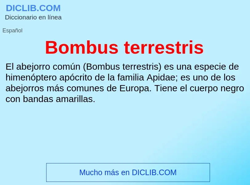 ¿Qué es Bombus terrestris? - significado y definición