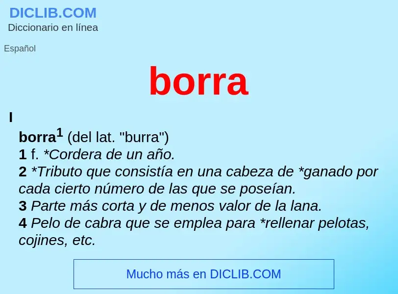 What is borra - meaning and definition