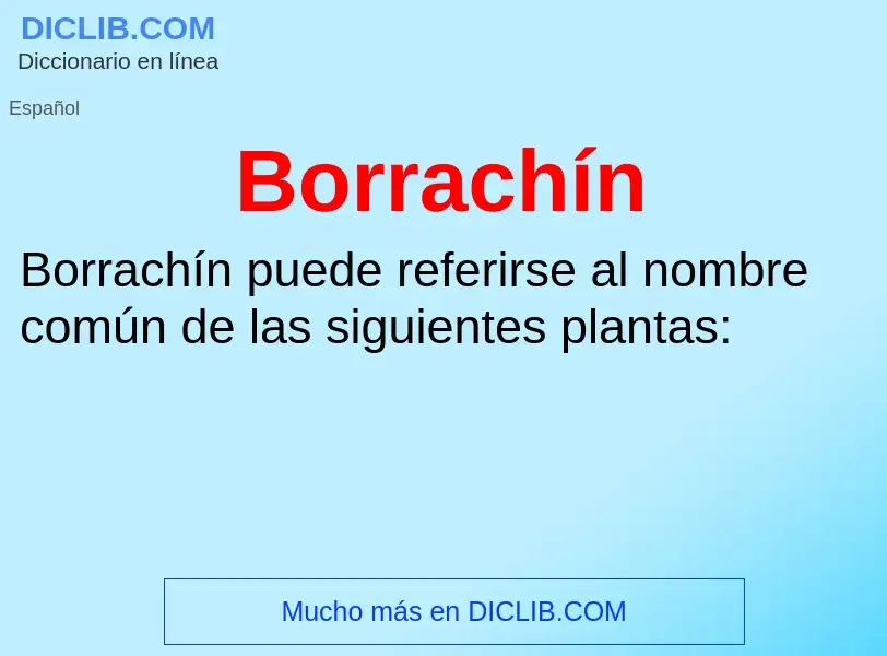 What is Borrachín - meaning and definition