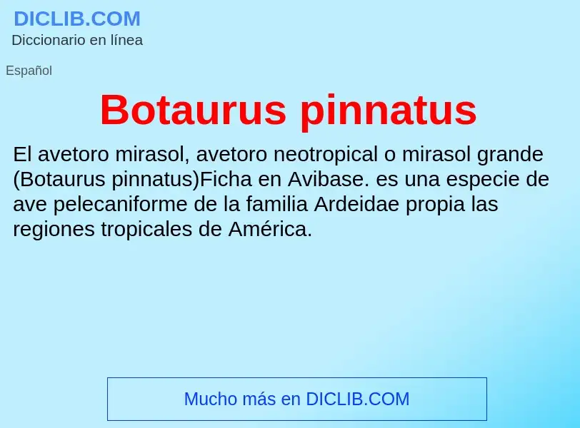 O que é Botaurus pinnatus - definição, significado, conceito