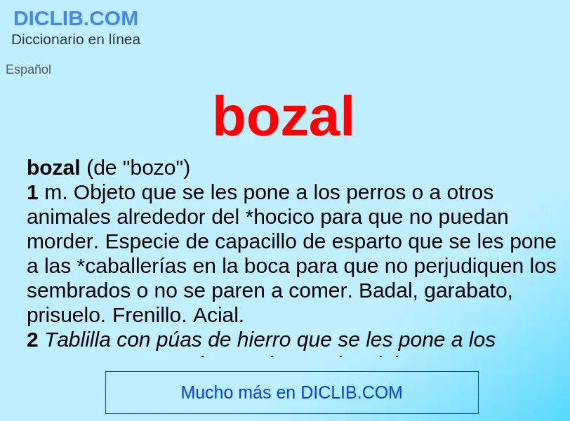 O que é bozal - definição, significado, conceito