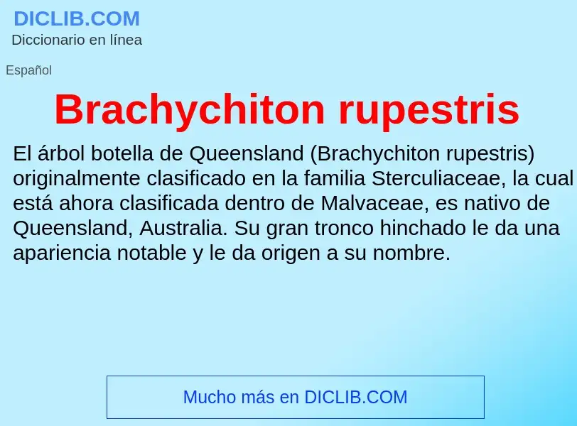 Что такое Brachychiton rupestris - определение