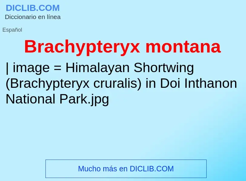 What is Brachypteryx montana - meaning and definition