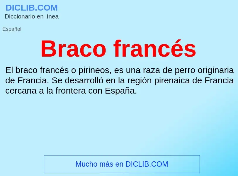 O que é Braco francés - definição, significado, conceito