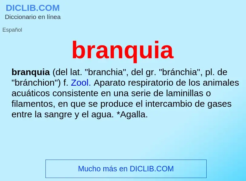 Was ist branquia - Definition