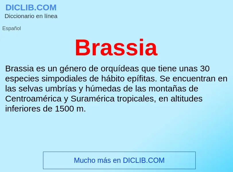 ¿Qué es Brassia? - significado y definición