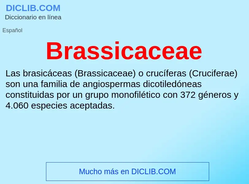 ¿Qué es Brassicaceae? - significado y definición