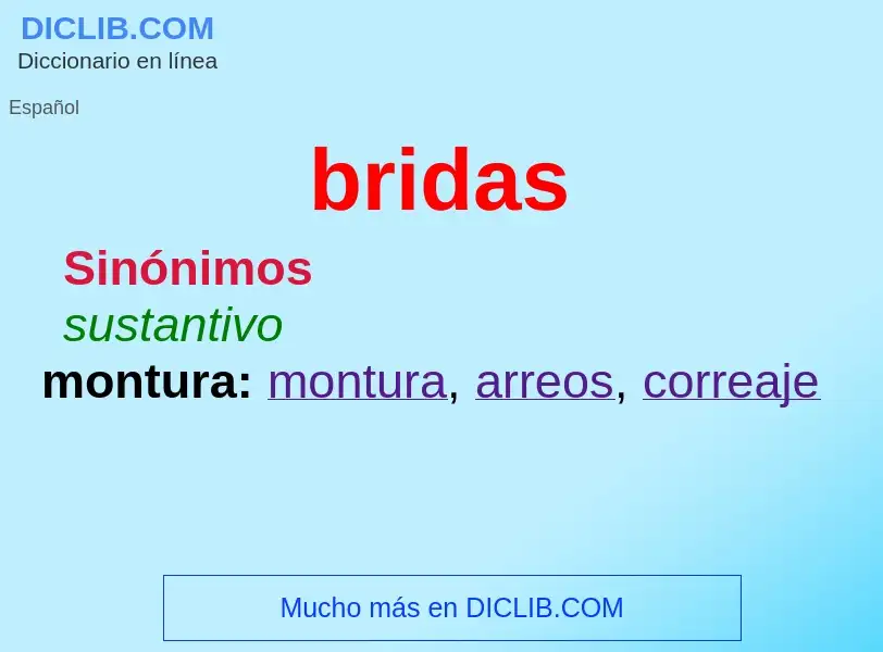 O que é bridas - definição, significado, conceito