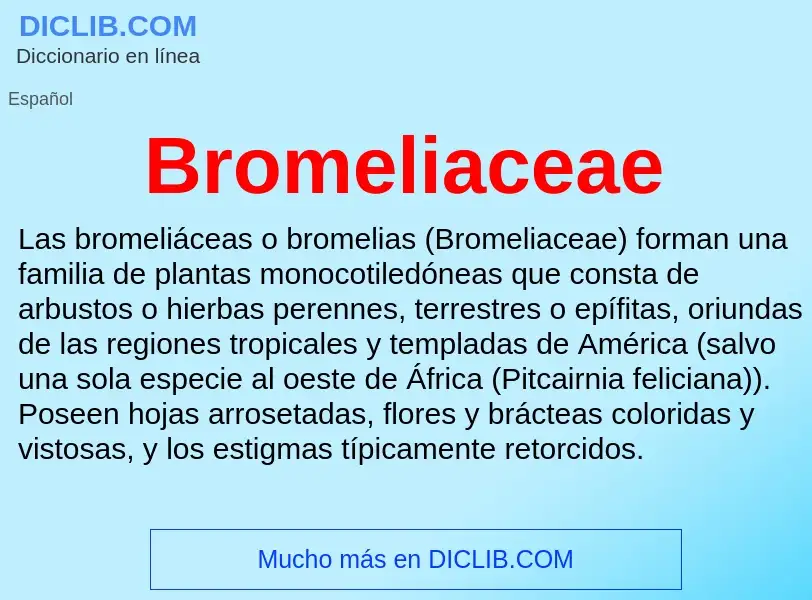 ¿Qué es Bromeliaceae? - significado y definición