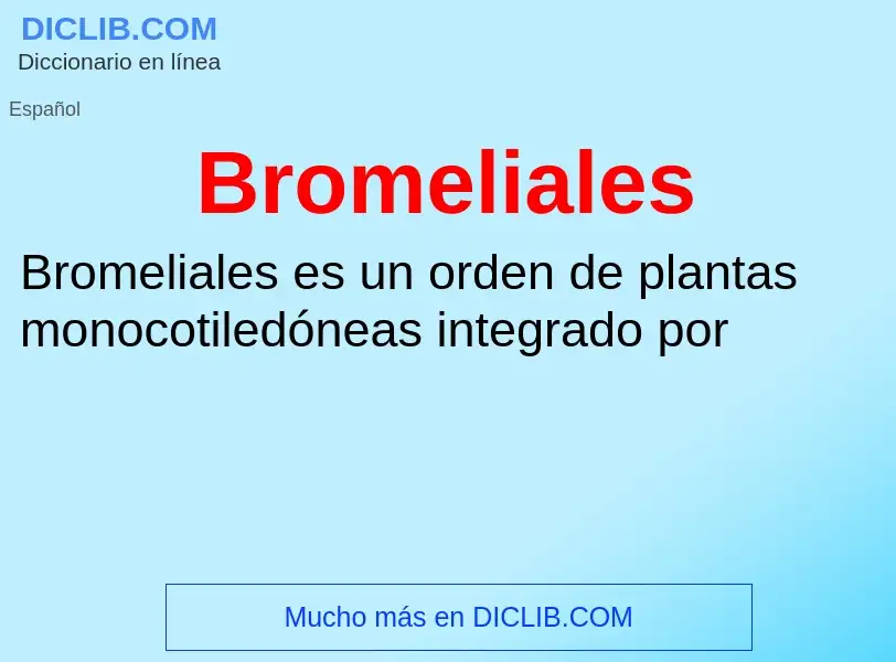 ¿Qué es Bromeliales? - significado y definición