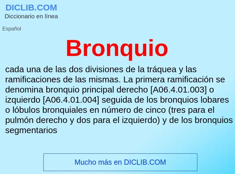 O que é Bronquio - definição, significado, conceito