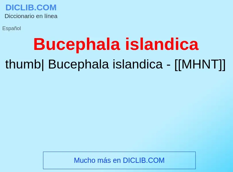 ¿Qué es Bucephala islandica? - significado y definición