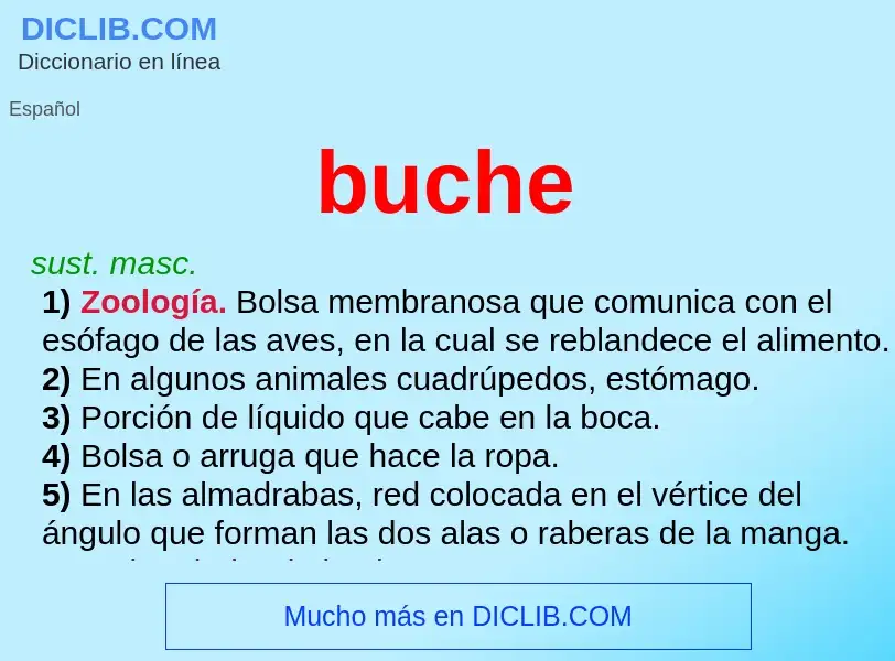 ¿Qué es buche? - significado y definición