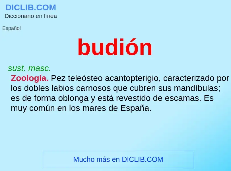 ¿Qué es budión? - significado y definición