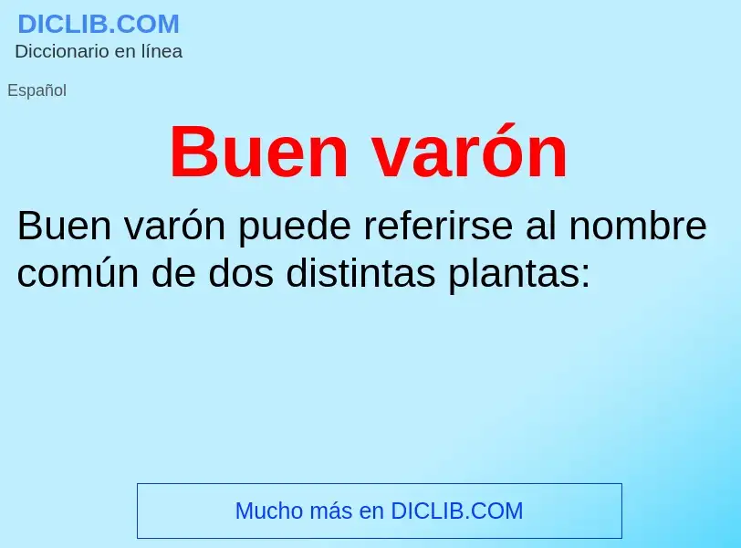 ¿Qué es Buen varón? - significado y definición