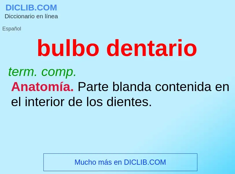 What is bulbo dentario - meaning and definition