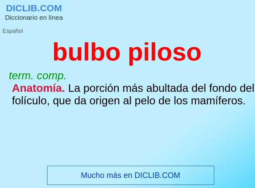 Was ist bulbo piloso - Definition