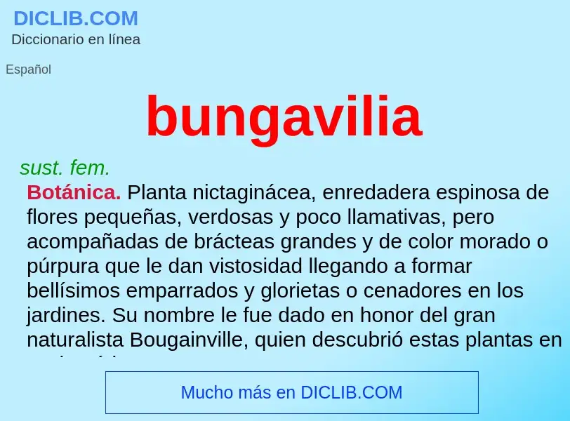 ¿Qué es bungavilia? - significado y definición