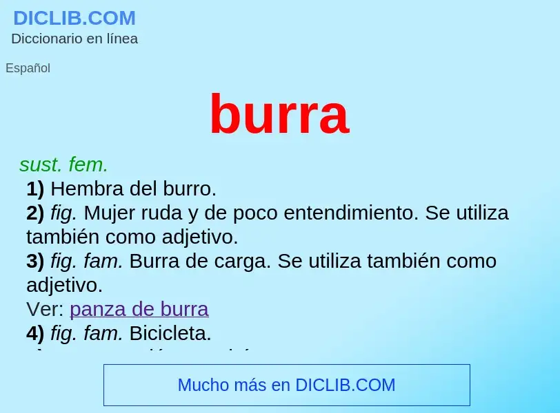 What is burra - meaning and definition