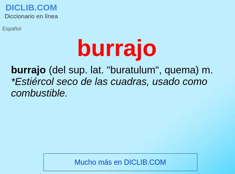 Wat is burrajo - definition