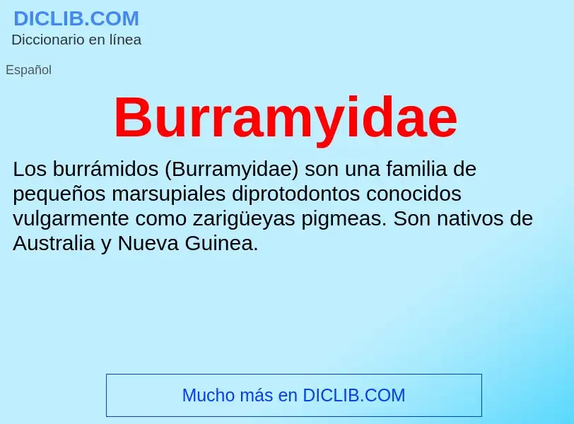 ¿Qué es Burramyidae? - significado y definición