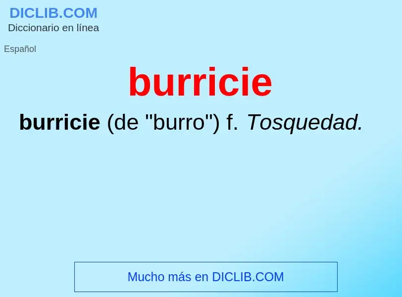 Wat is burricie - definition