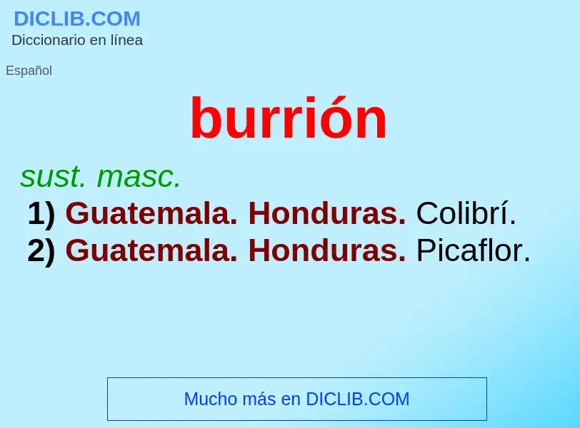 What is burrión - definition