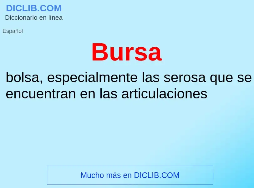 ¿Qué es Bursa? - significado y definición