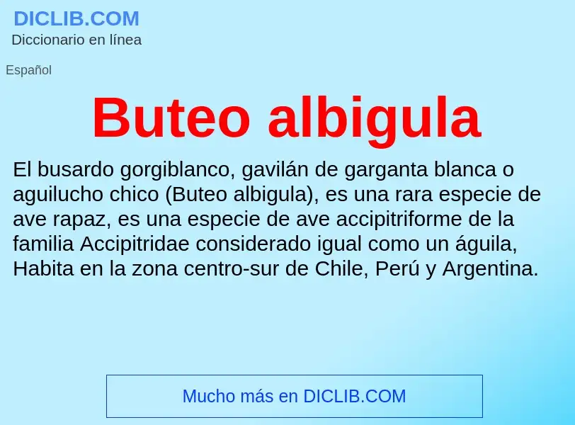 O que é Buteo albigula - definição, significado, conceito