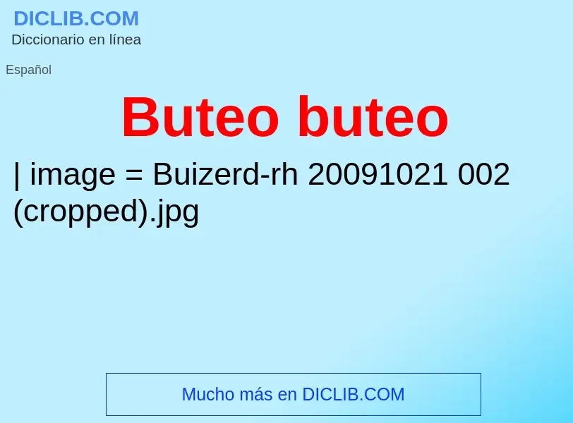 O que é Buteo buteo - definição, significado, conceito