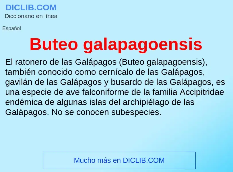 O que é Buteo galapagoensis - definição, significado, conceito