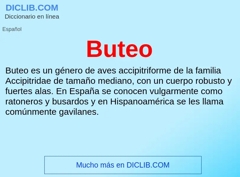 Wat is Buteo - definition