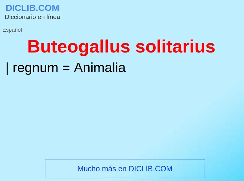 Что такое Buteogallus solitarius - определение