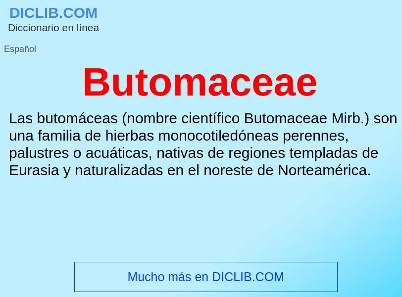 ¿Qué es Butomaceae? - significado y definición