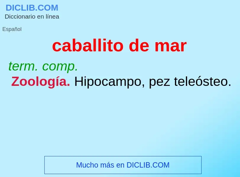 What is caballito de mar - definition