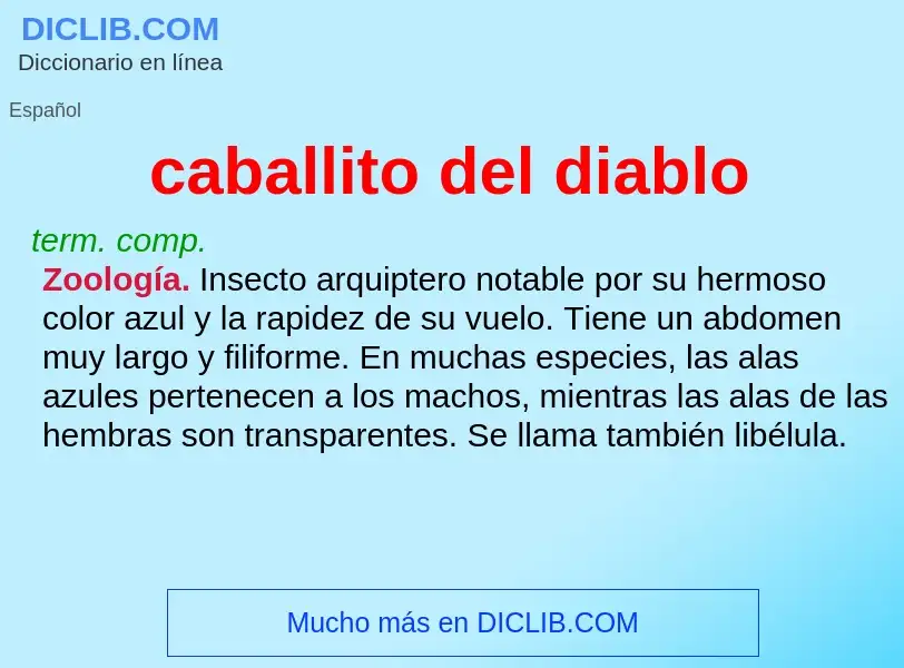 What is caballito del diablo - meaning and definition