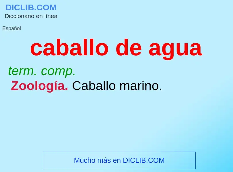 What is caballo de agua - definition